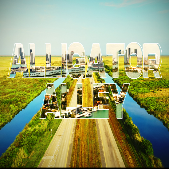 DATALIFE-Alligator_Alley_cover.jpg